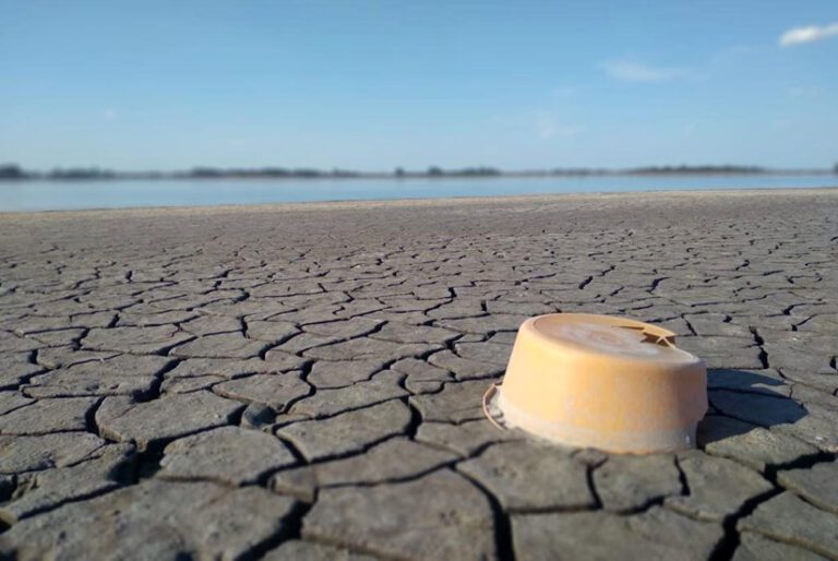 Sequía extrema en la Laguna de Bragado un símbolo más de déficit de